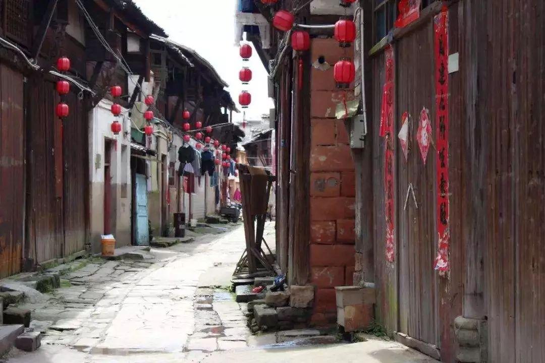 不朽星球